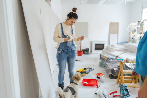 Best Ceiling Drywall Installation  in Montgomery, IL